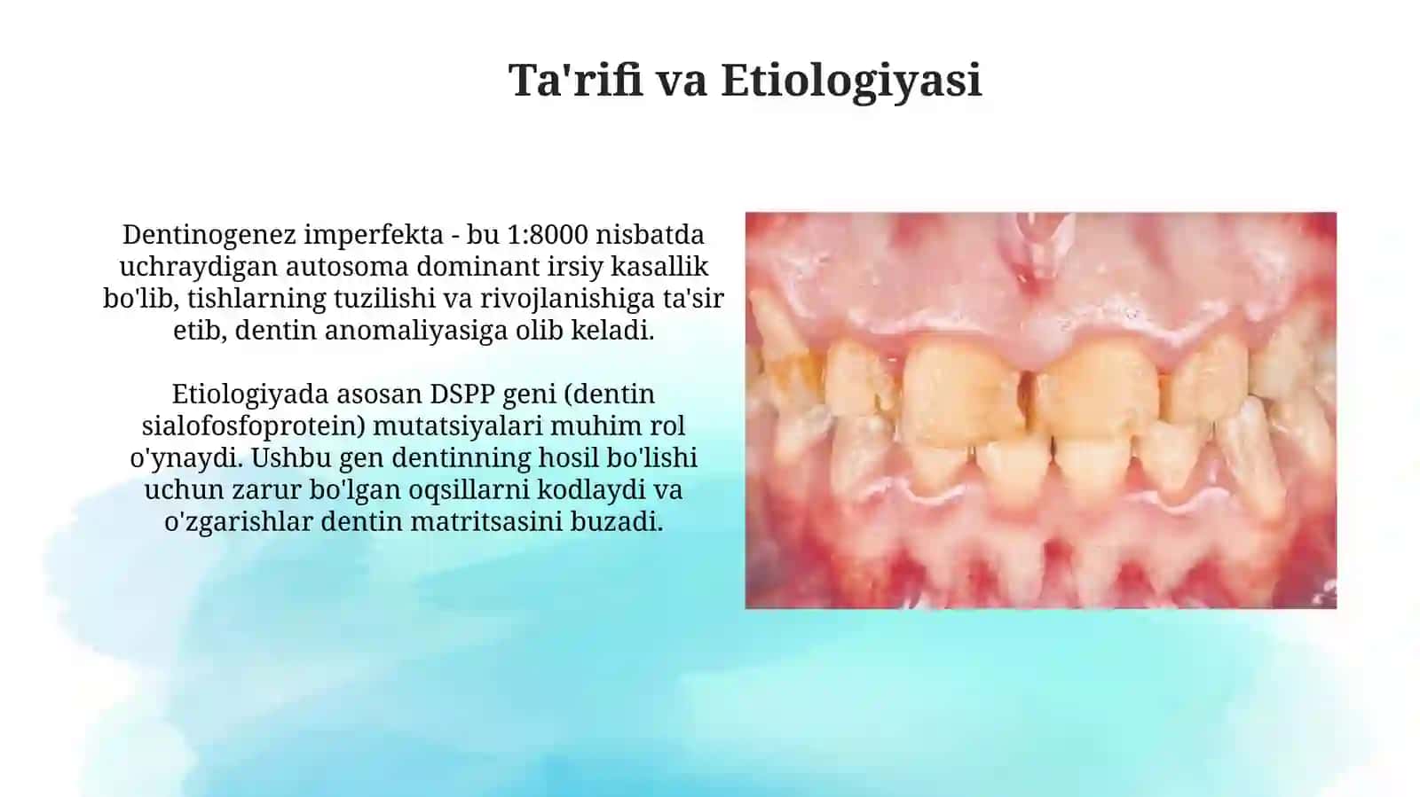 Tagallanmagan Dentinogenez 3