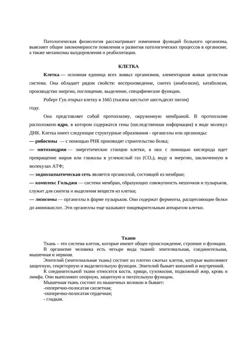 День Независимости Республики Узбекистан 3