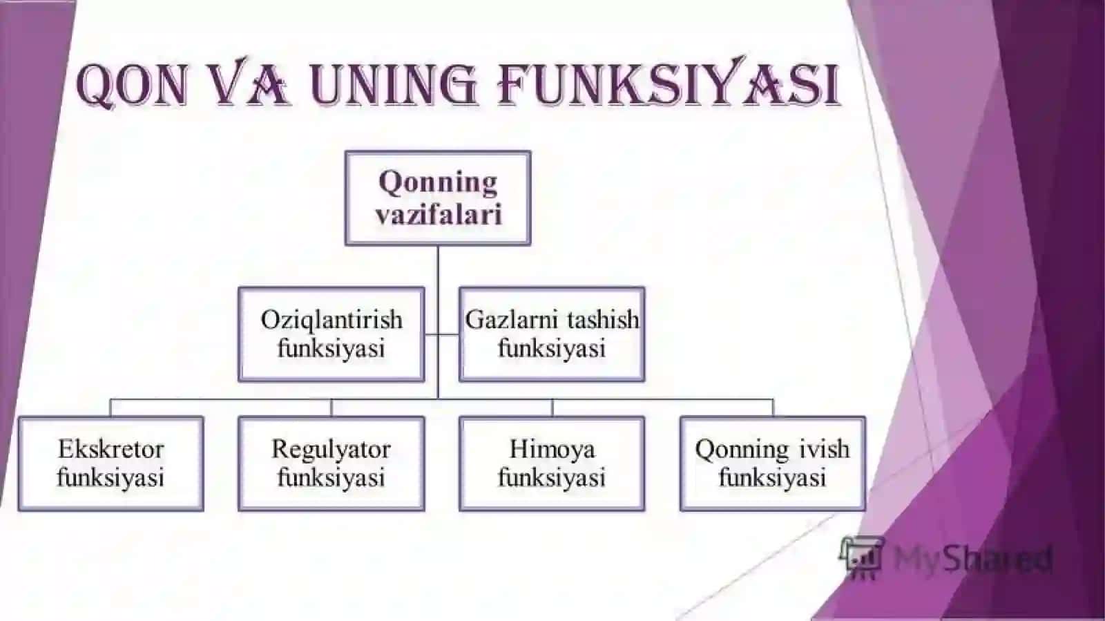 QON VA UNING FIZIOLOGIYASI (KASALLIKLAR,ULARNI DAVOLASH) 3