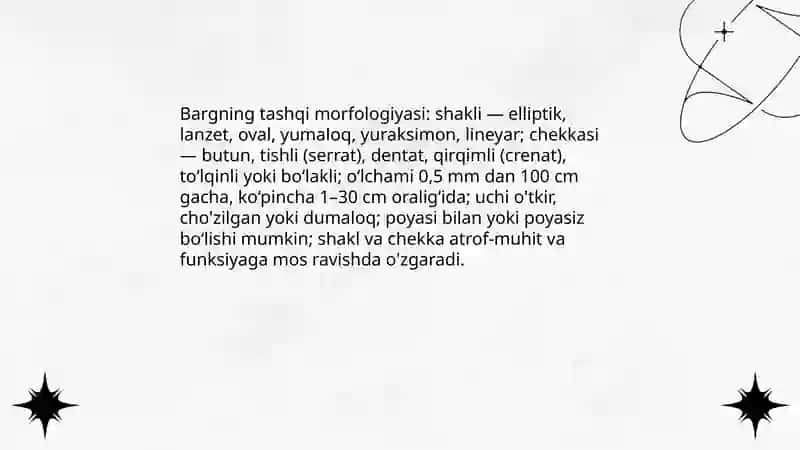 Barg va uning vazifalari 3