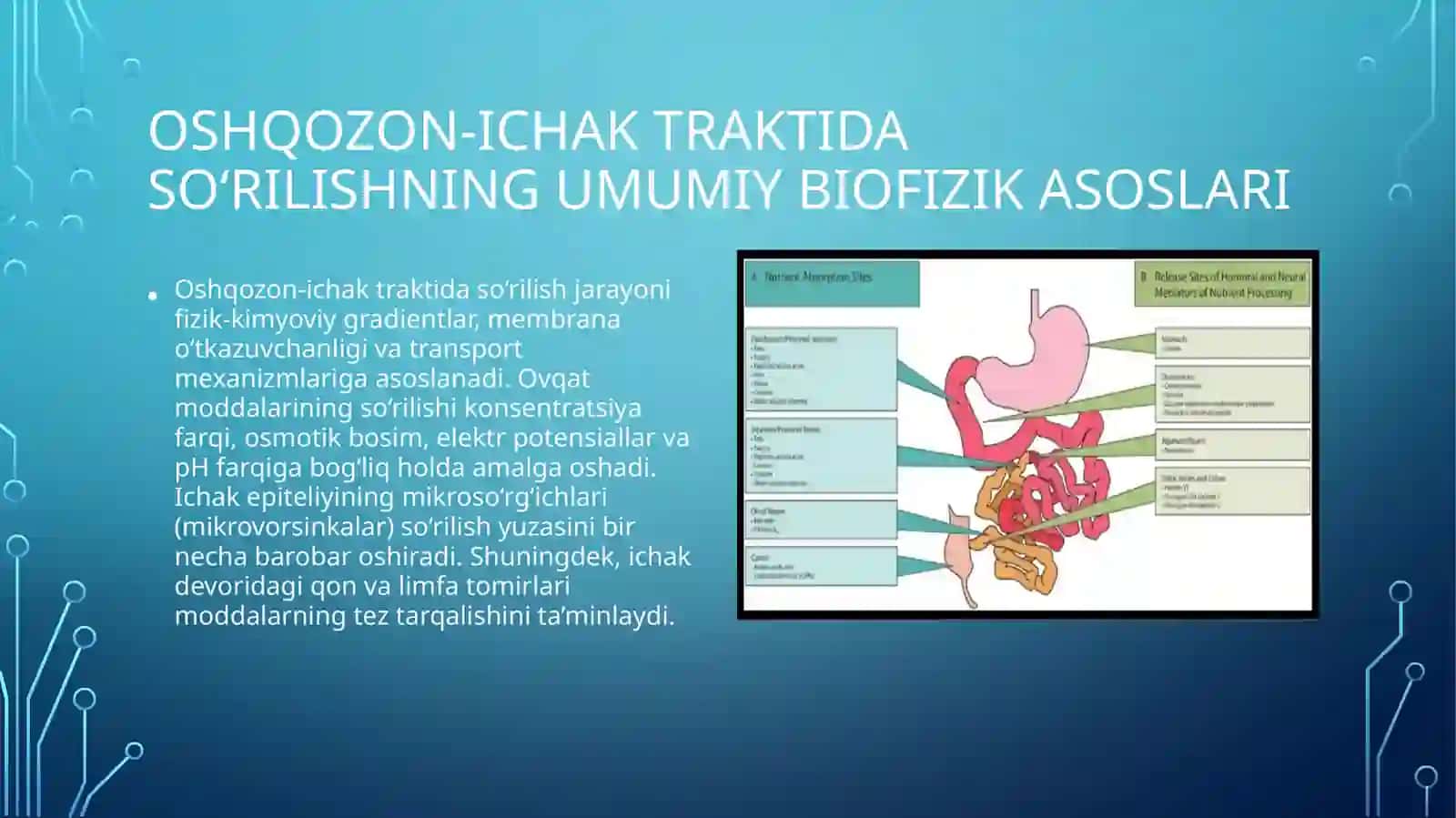 Biofizika - Oshqozon-ichak traktida soʻrilishning biofizik mexanizmlari (10 slayd PPT 3