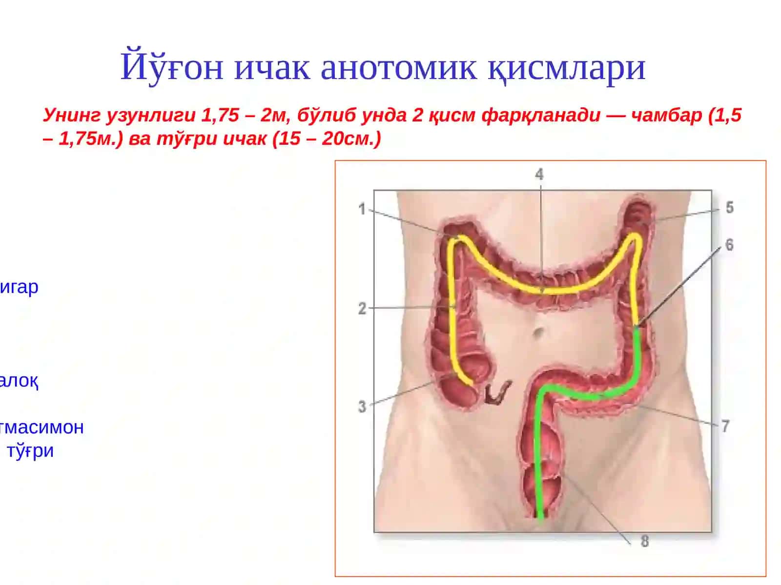 Йўғон ичак раки онкологик касалликлари 3