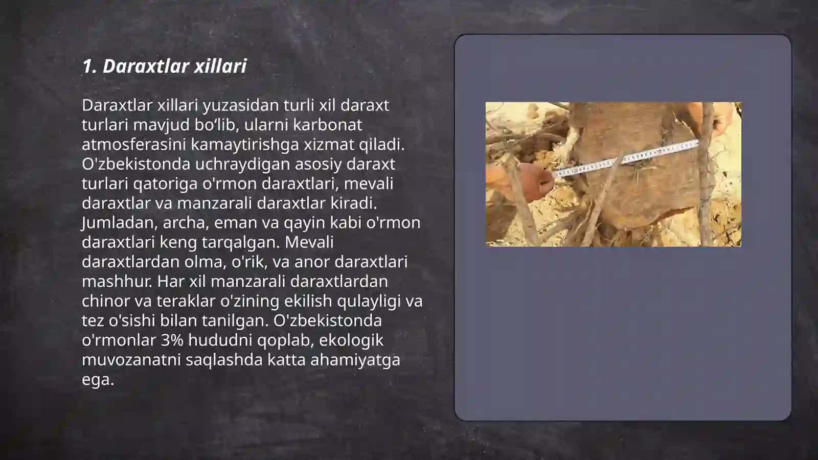 Daraxtlar xillari 3