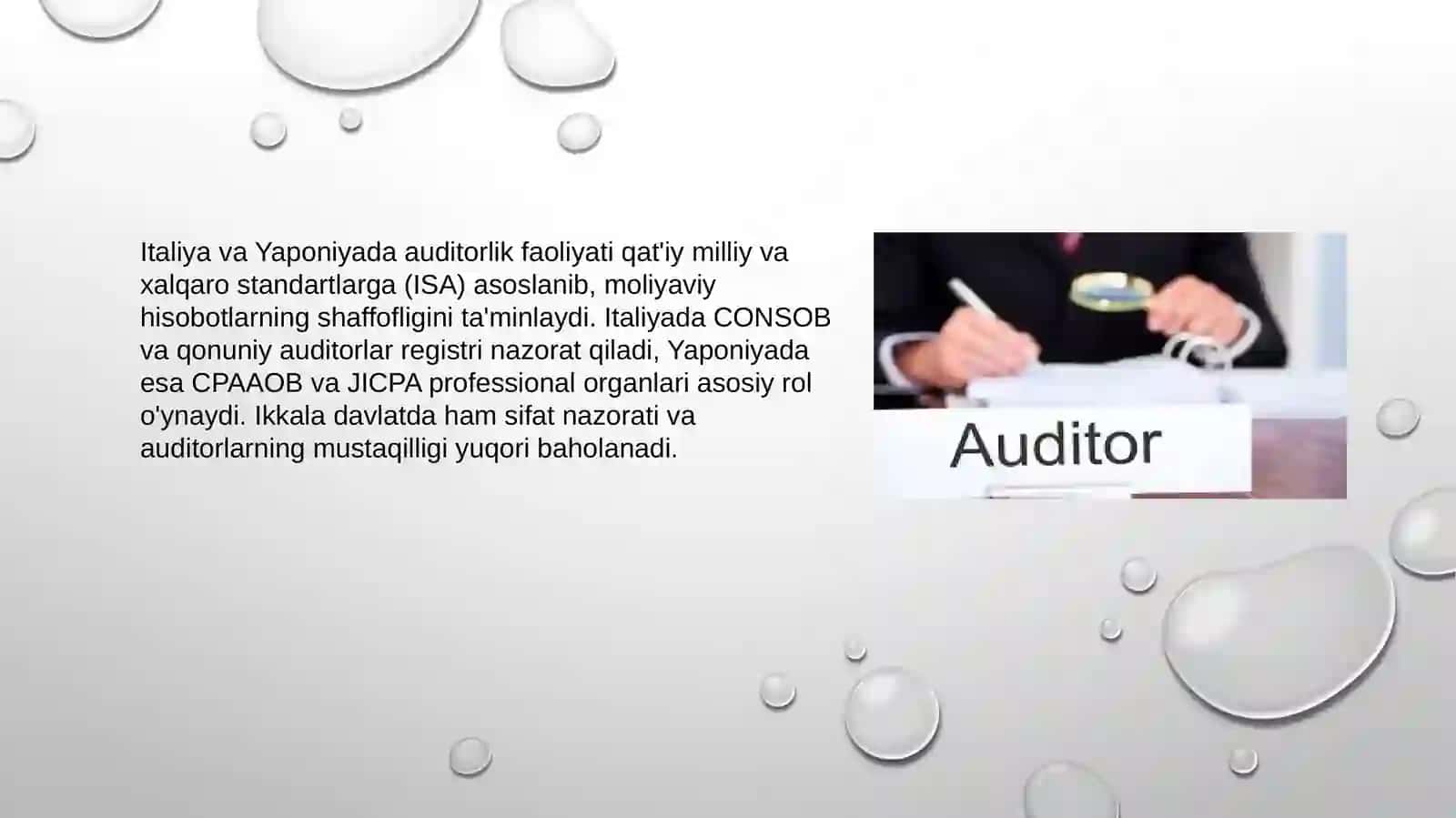 Italiya va Yaponiya mamlakatlari auditorlik tashkilotlari faoliyati to'g'risida 3