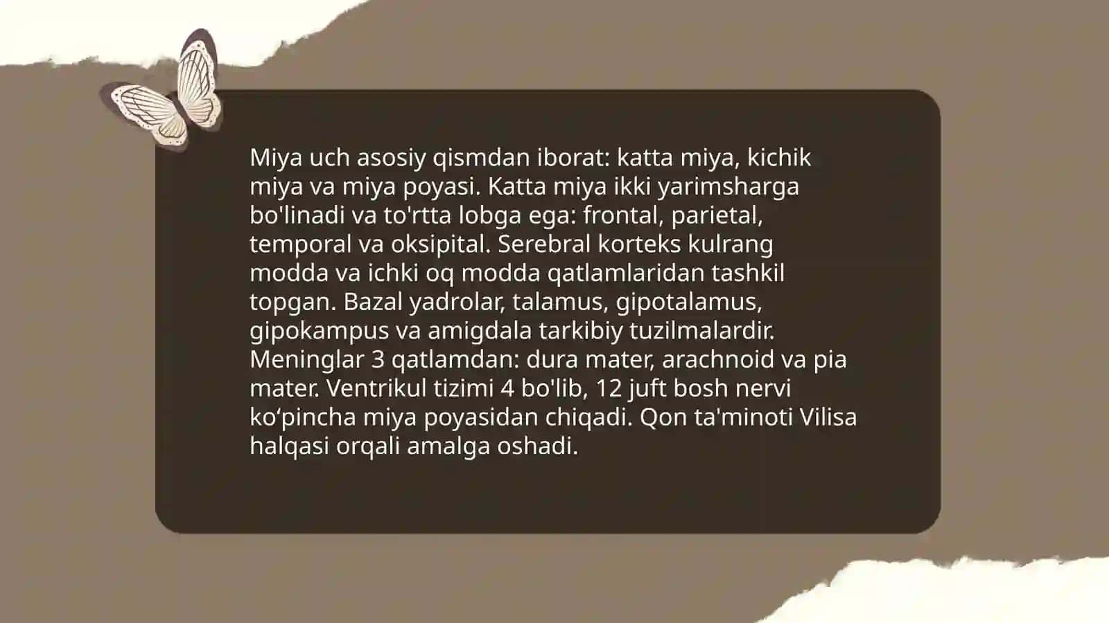 Miya anatomiyasi 3