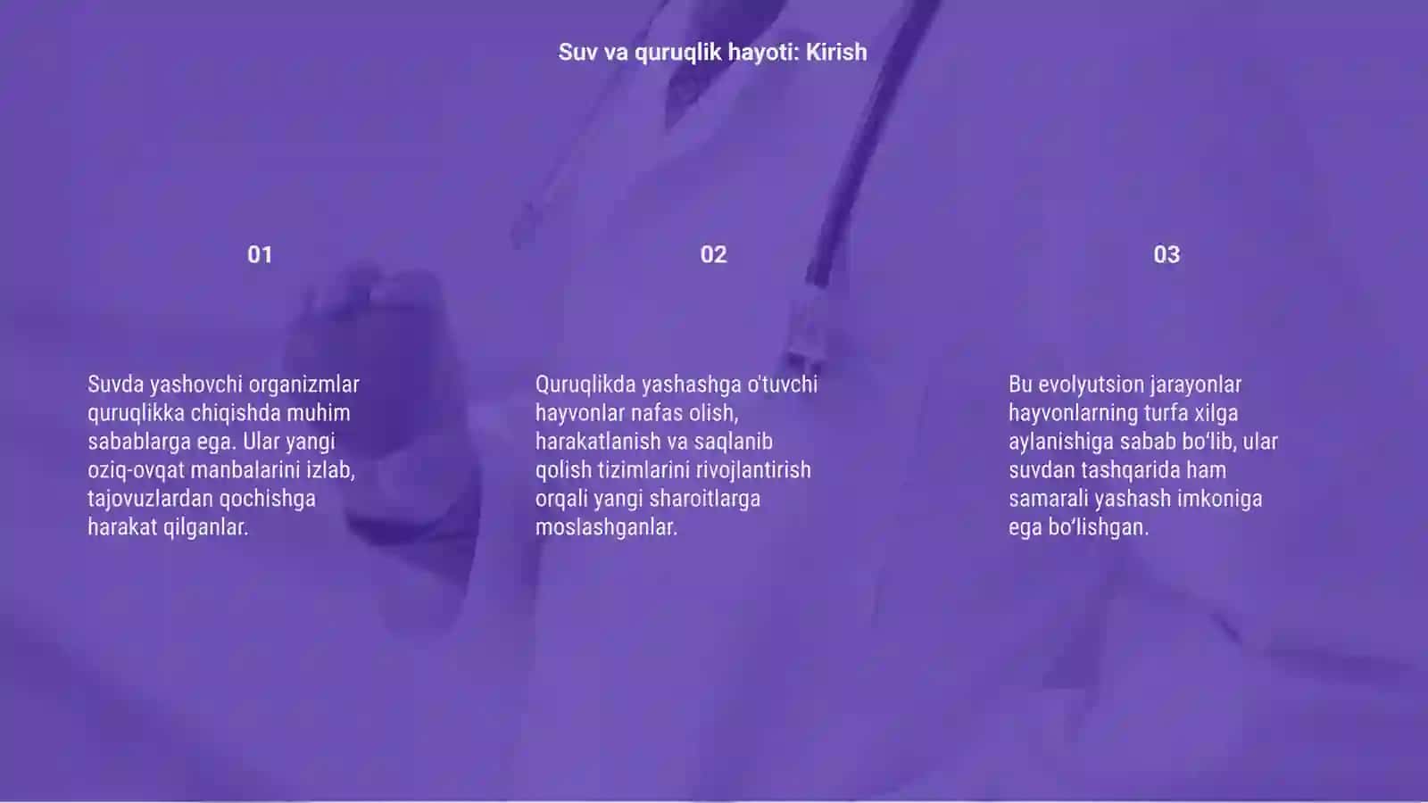Suvda yashovchilar quruqlikka chiqish sabablari va moslanish 3