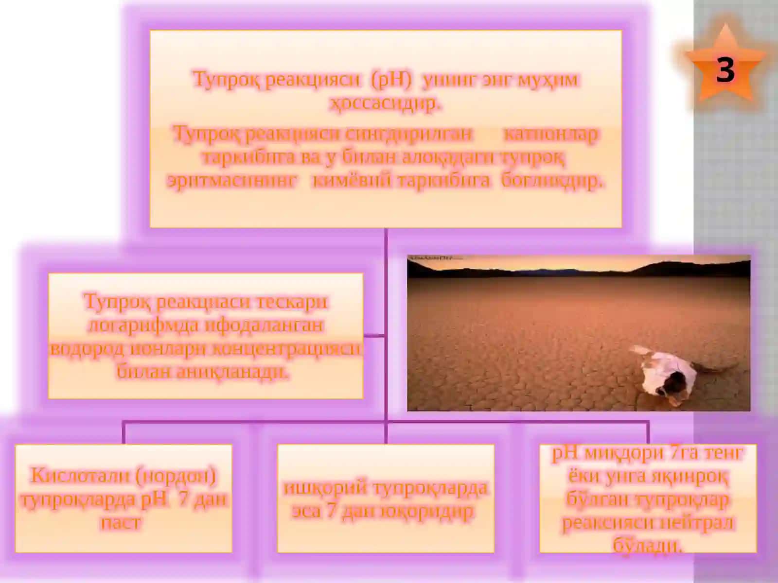 Тупроқнинг муҳити – pH. Тупроқнинг оксидланиши – қайтарилиши тартиботи 3