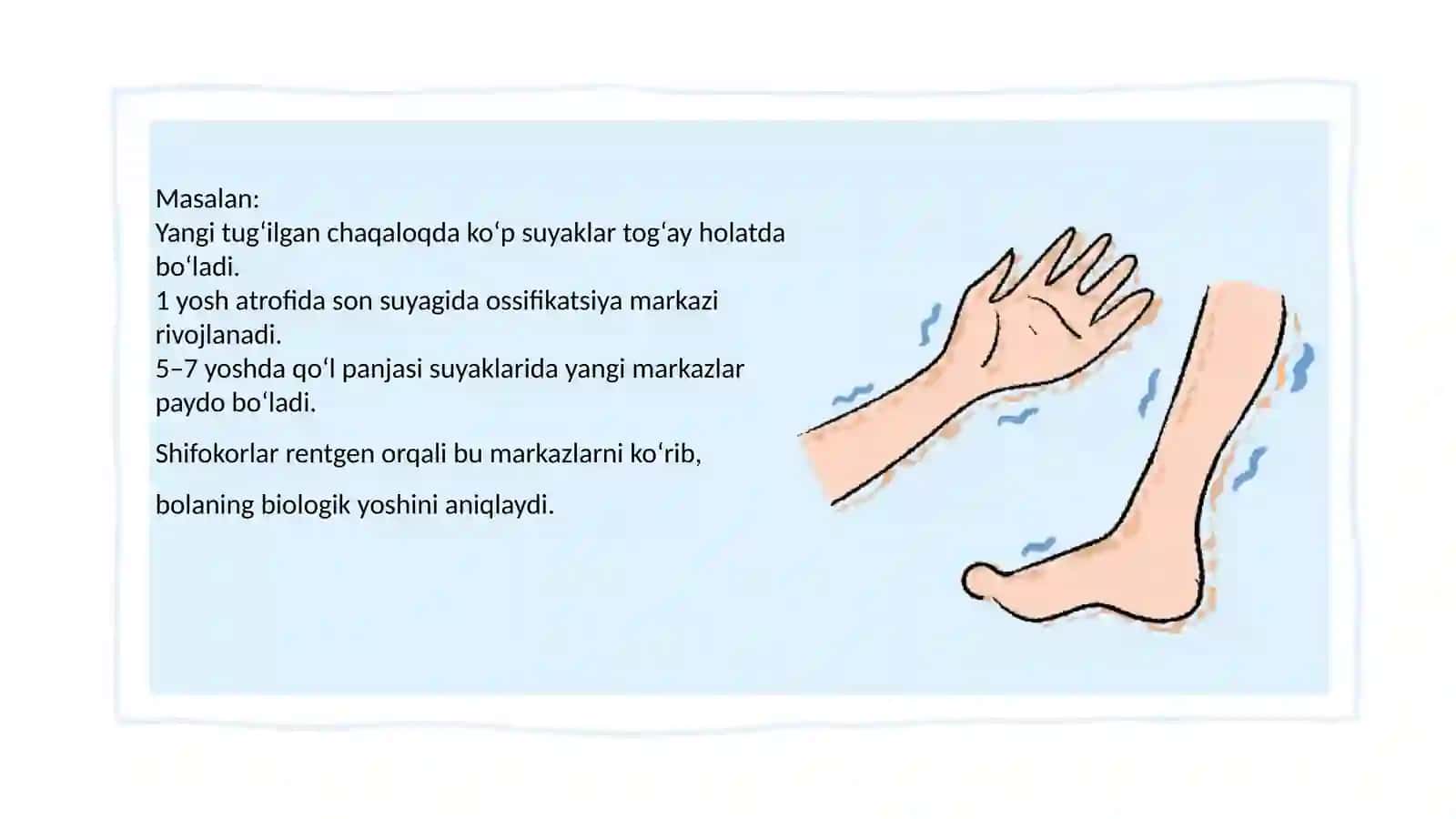 Suyaklarga qarab bola yoshini baholash 3