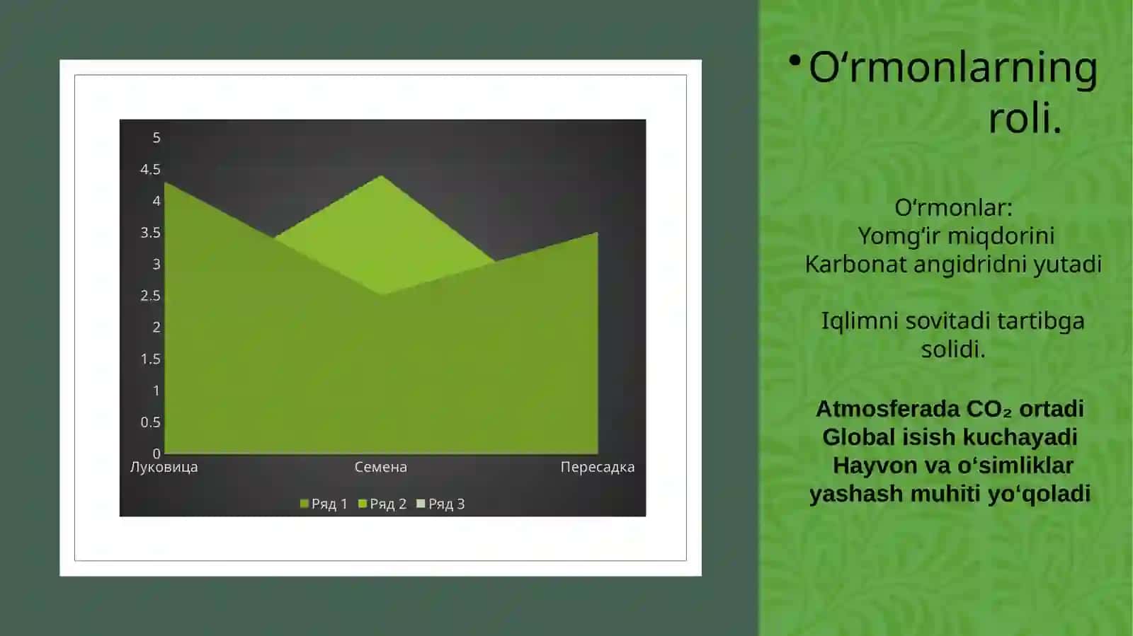 Oʻsimliklar dunyosi barqarorligini taʼminlash 3