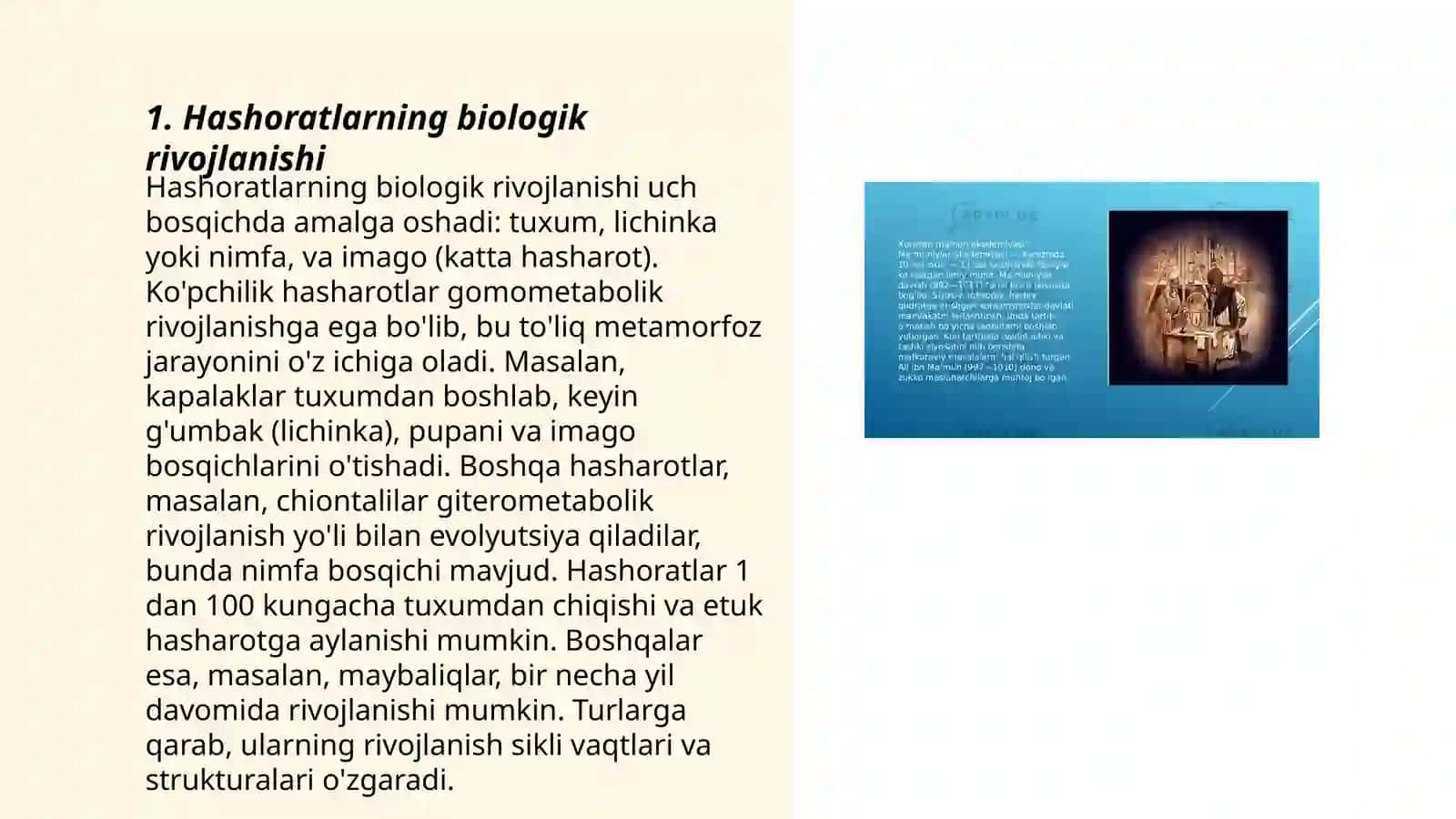 Hashoratlarning kòpayishi va rivojlanishi 3