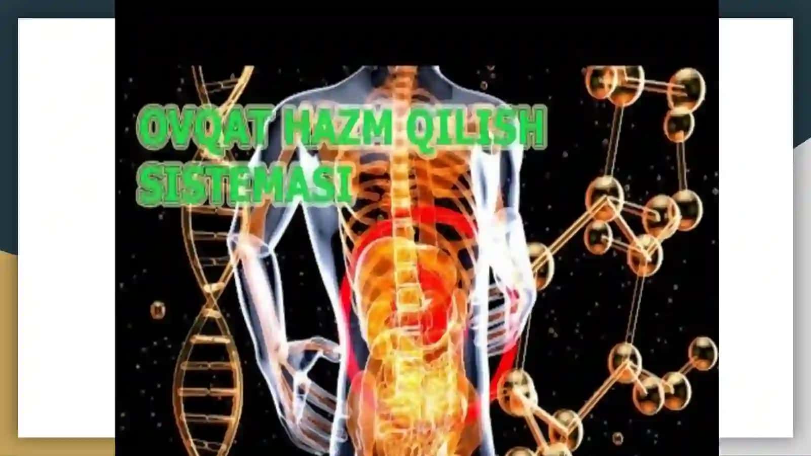 Ovqat hazm qilish tizimi 3