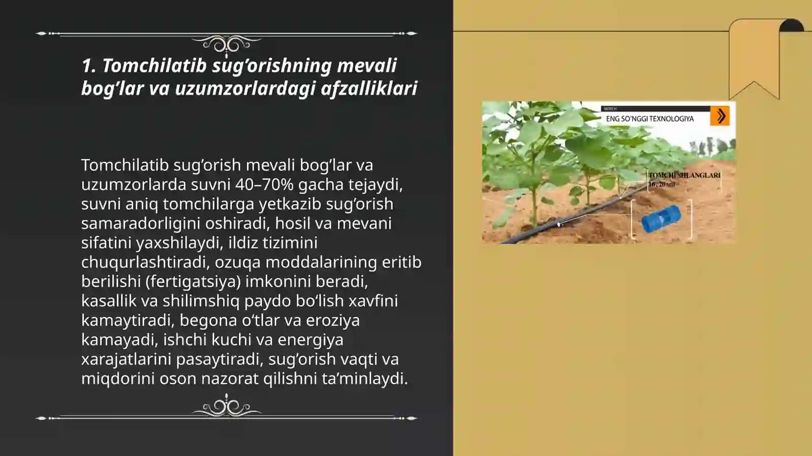 Mevali bog’lar va uzumzorlarda tomchilatib sug’orish usulini qo’llash 3