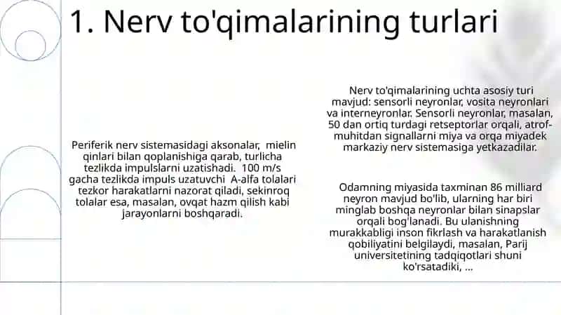 Muskul va Nerv toʻqimasi 3