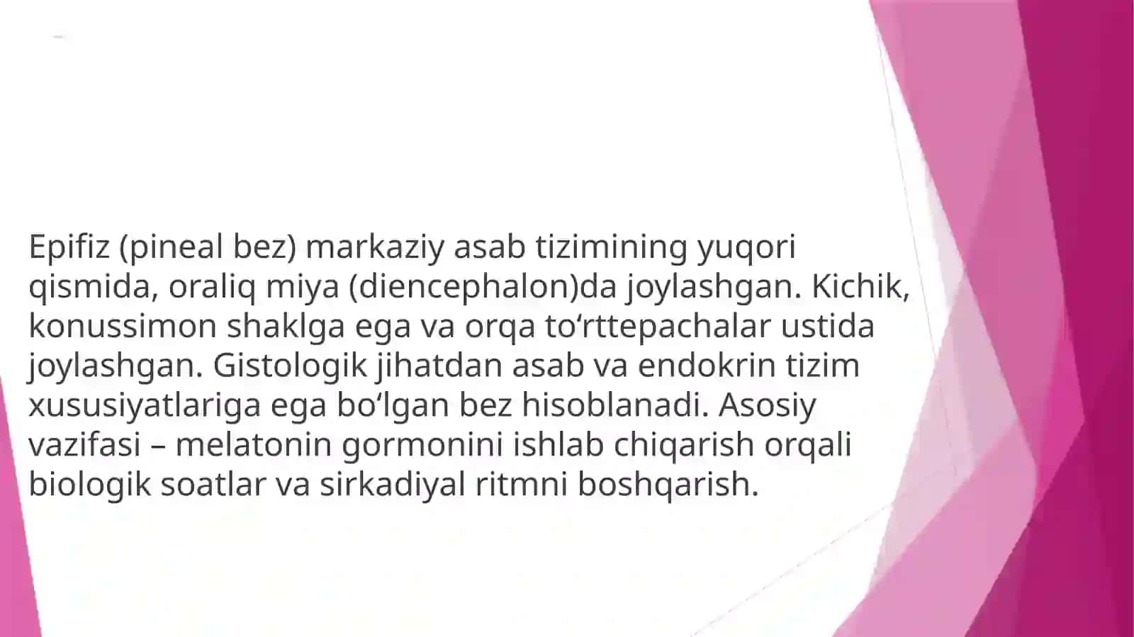 Epifizning ultrastruktura viy tashkil etilishi va funktsiyalari 3