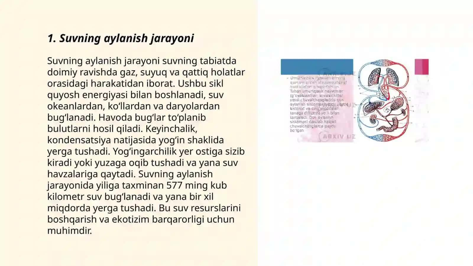 Suvning aylanishi 3