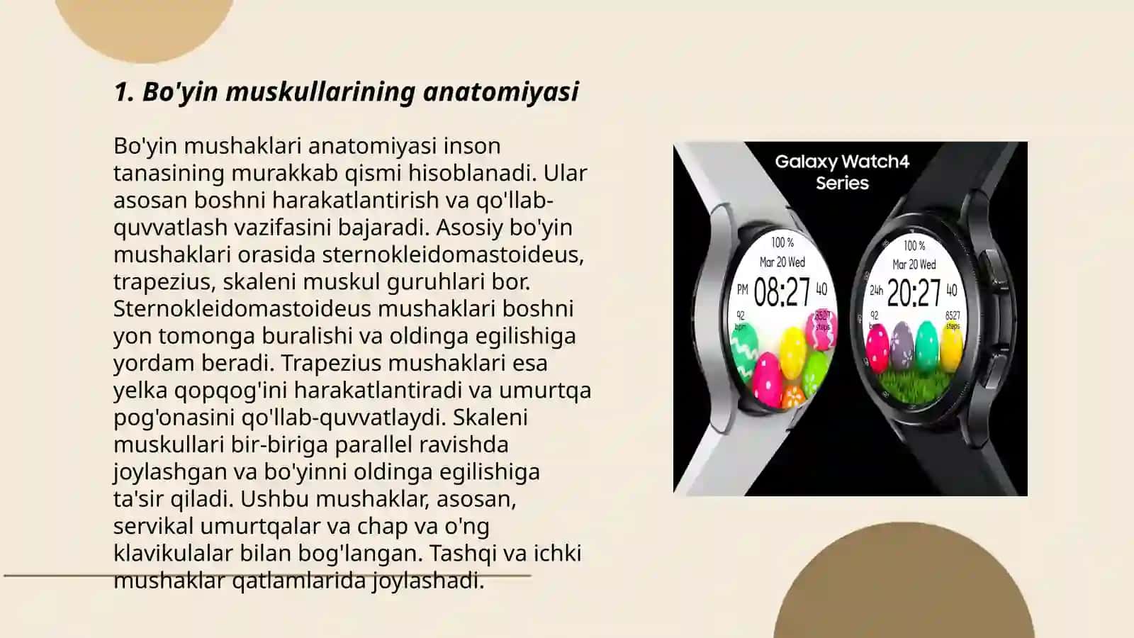 Bo'yin muskullarining tuzilishi va vazifalar test 3