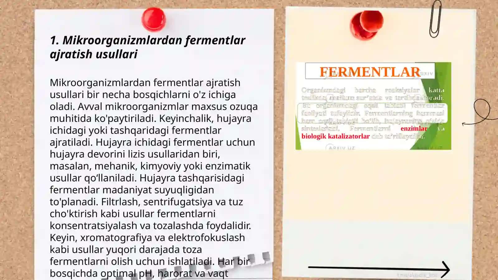 Mikroorganizmlardan fermentlar ajratish usullari 3