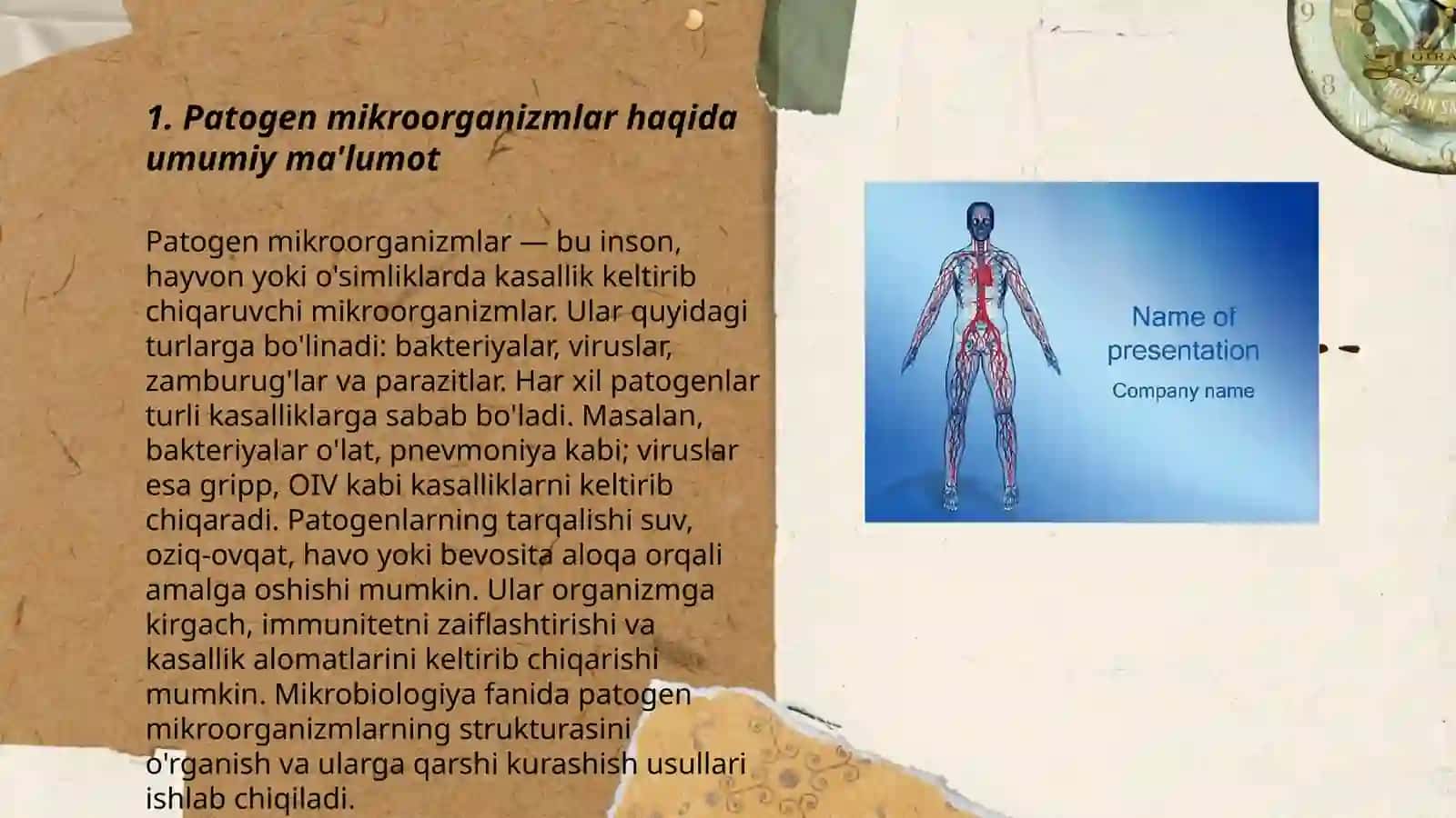 Potogen kokklar va ular keltirib chiqargan kasalliklar haiqda tushuncha 3