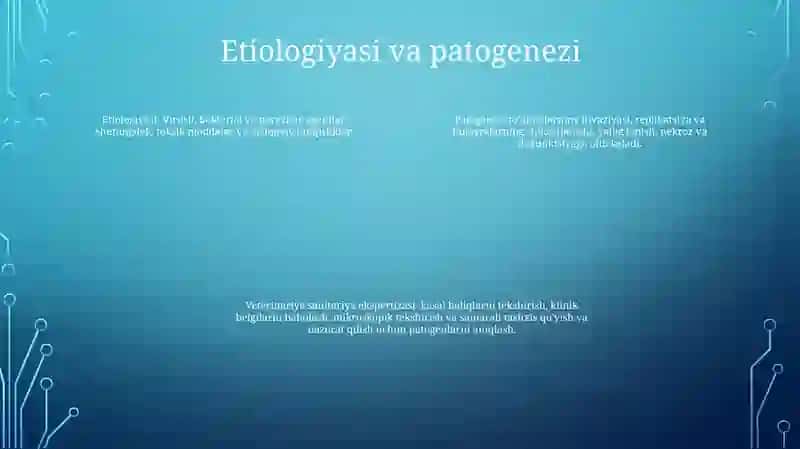 Baliqlarning Yuqumsiz Kasalliklarni Veterinariya Sanitariya Ekspertizasi 3