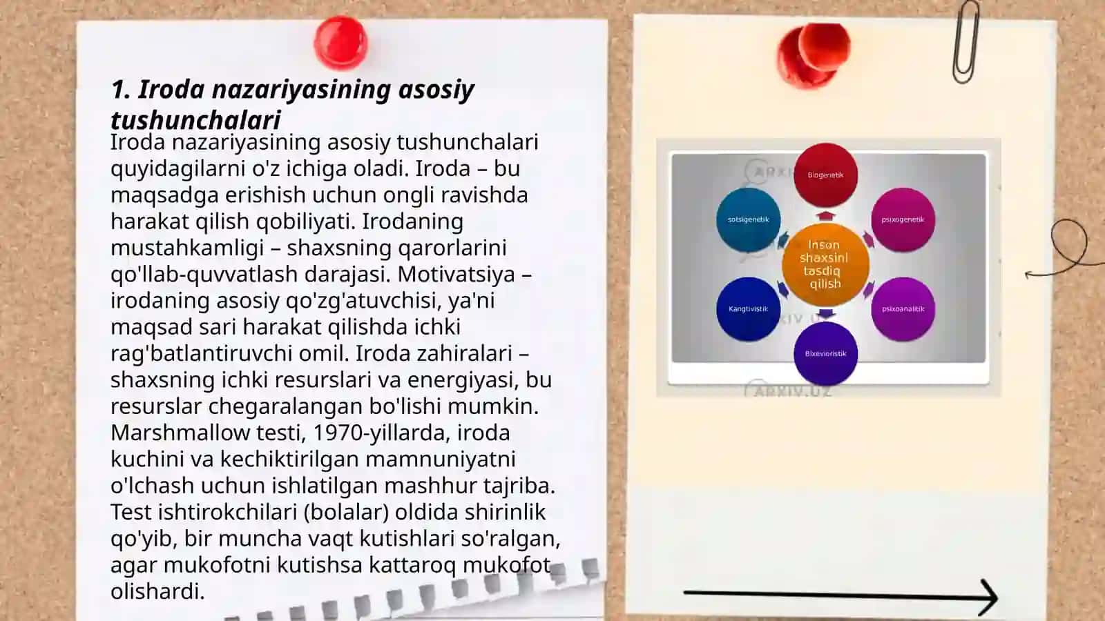 Iroda nazariyasi 3