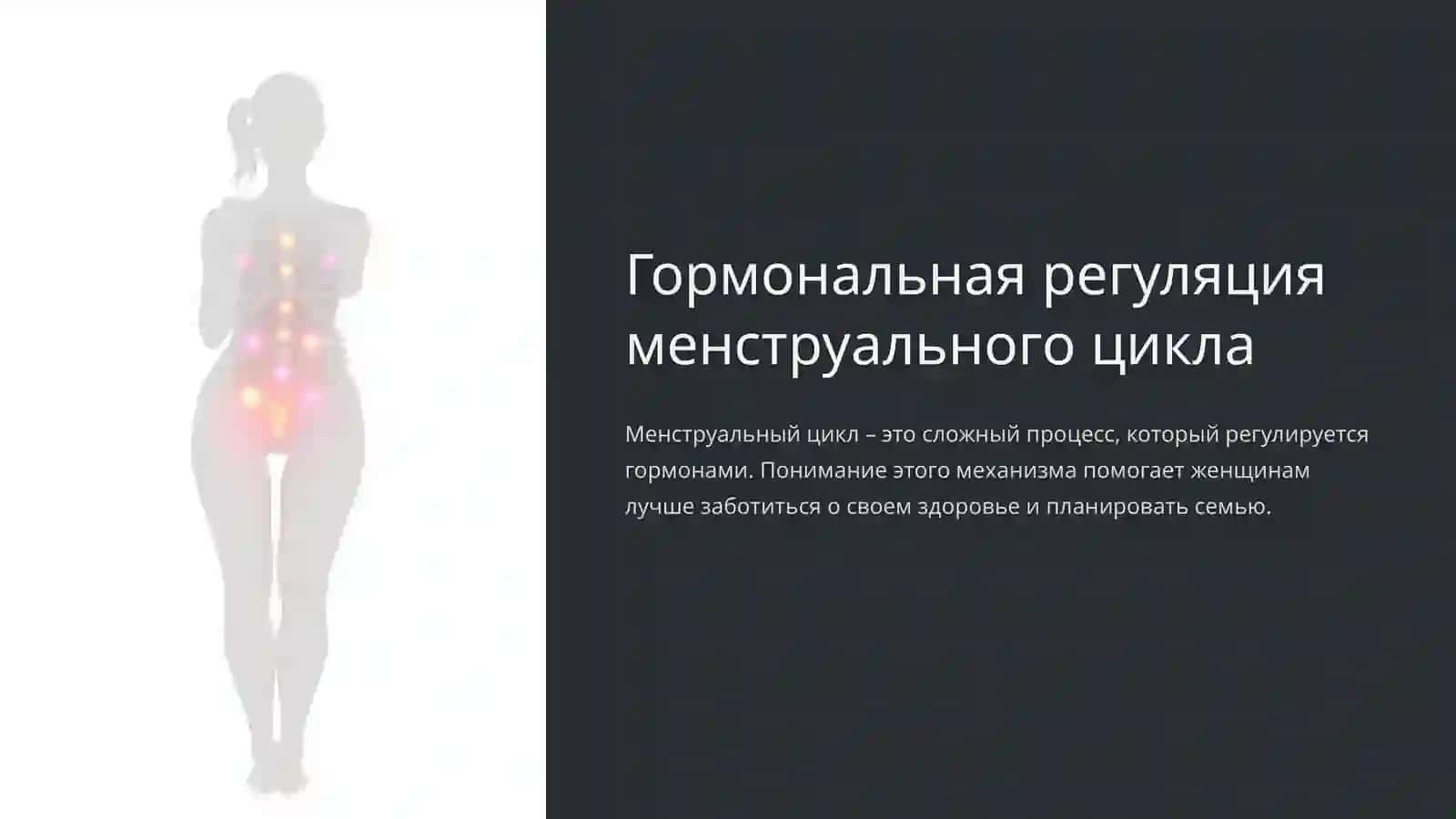 Гормональная регуляция менструального цикла 3