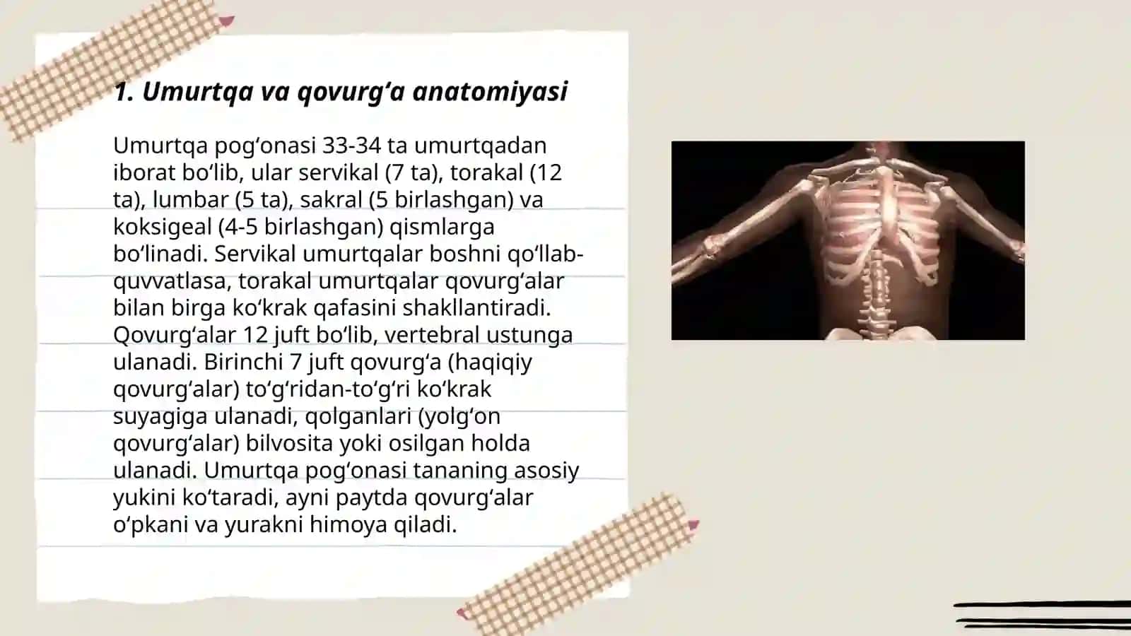 Stomatologiya yoʻnalishi 110-guruh talabasi Oʻlmasova Ruxshona 3