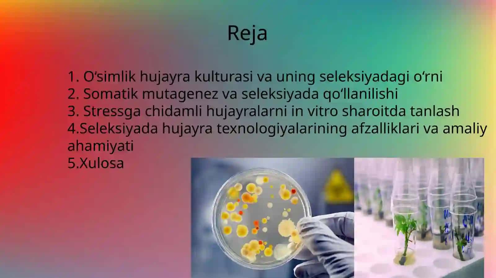 O‘simliklar Biotexnologiyasi 3
