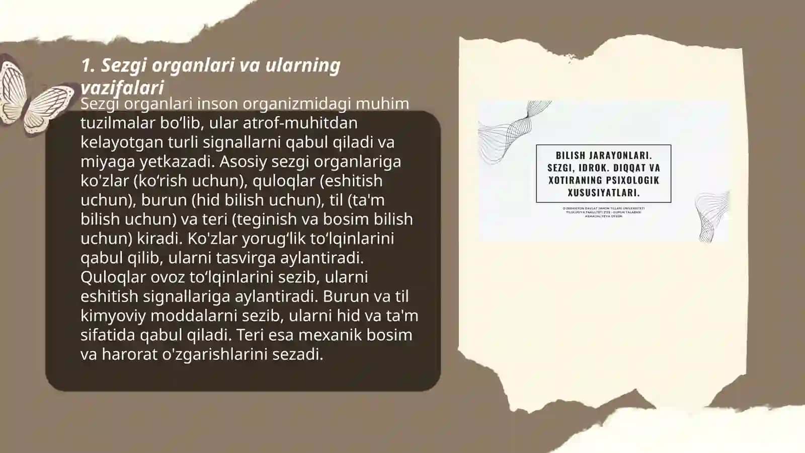 Sezgi va idrok jarayonlari 3