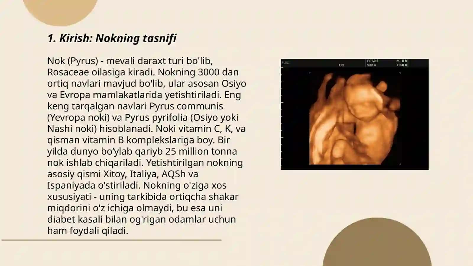 Oddiy nokning sistematikasi va morfologik belgilari 3