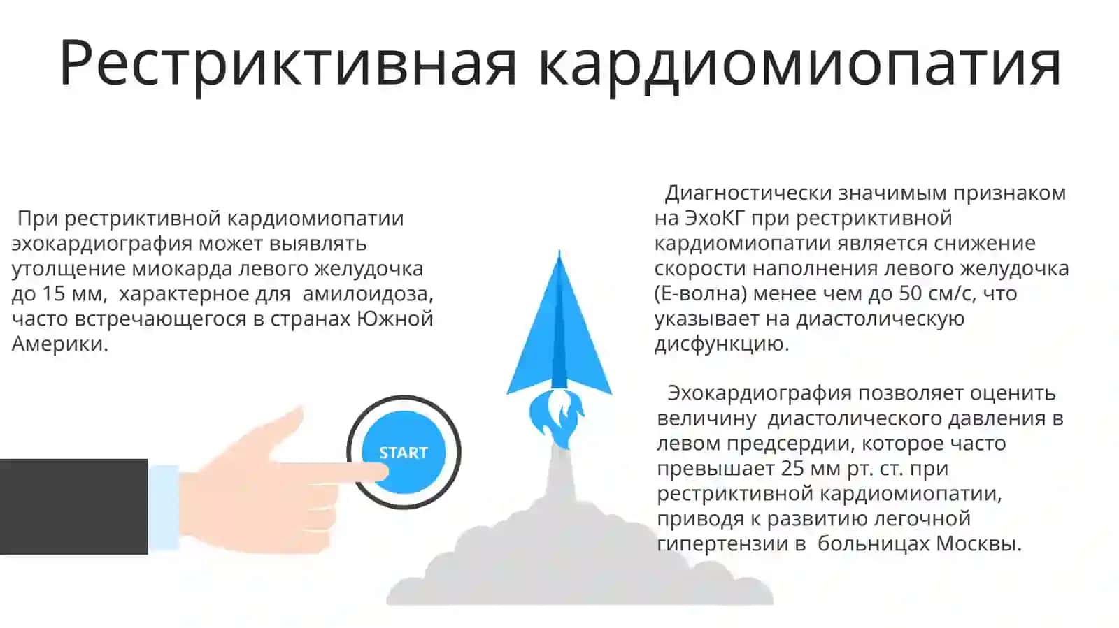 Эхокардиография 3