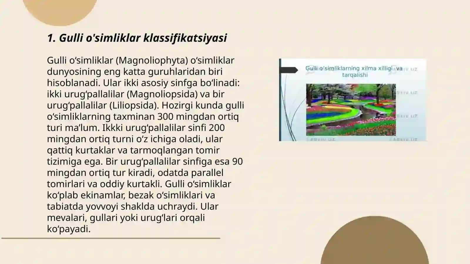 Gulli o'simliklarning xilma-xilligi va tarqalishi 3