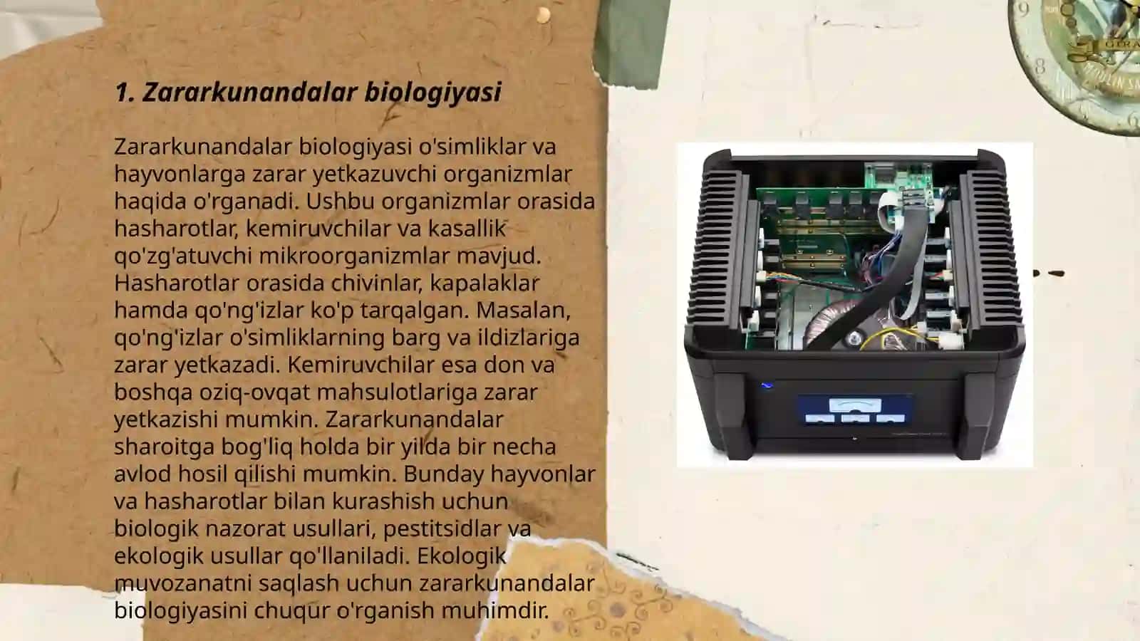O'simlik bitlarining tabiiy kushandalari 3