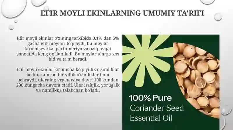 Efir moyli ekinlarning umumiy tavsifi 3
