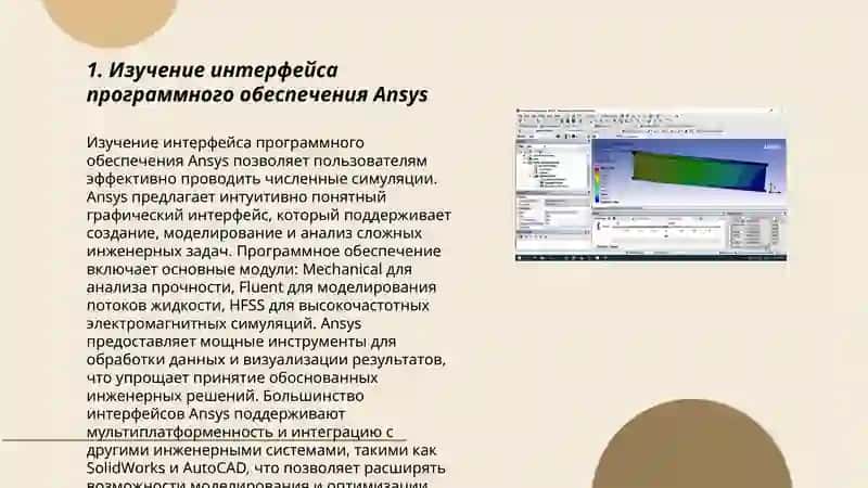 Программное обеспечение Ansys M Король В Панченко 3