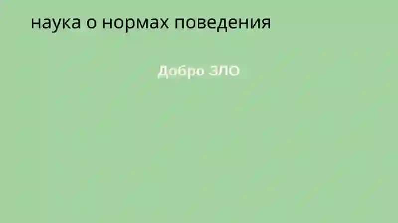 Этика и этикет: сущность, структура, функции 3