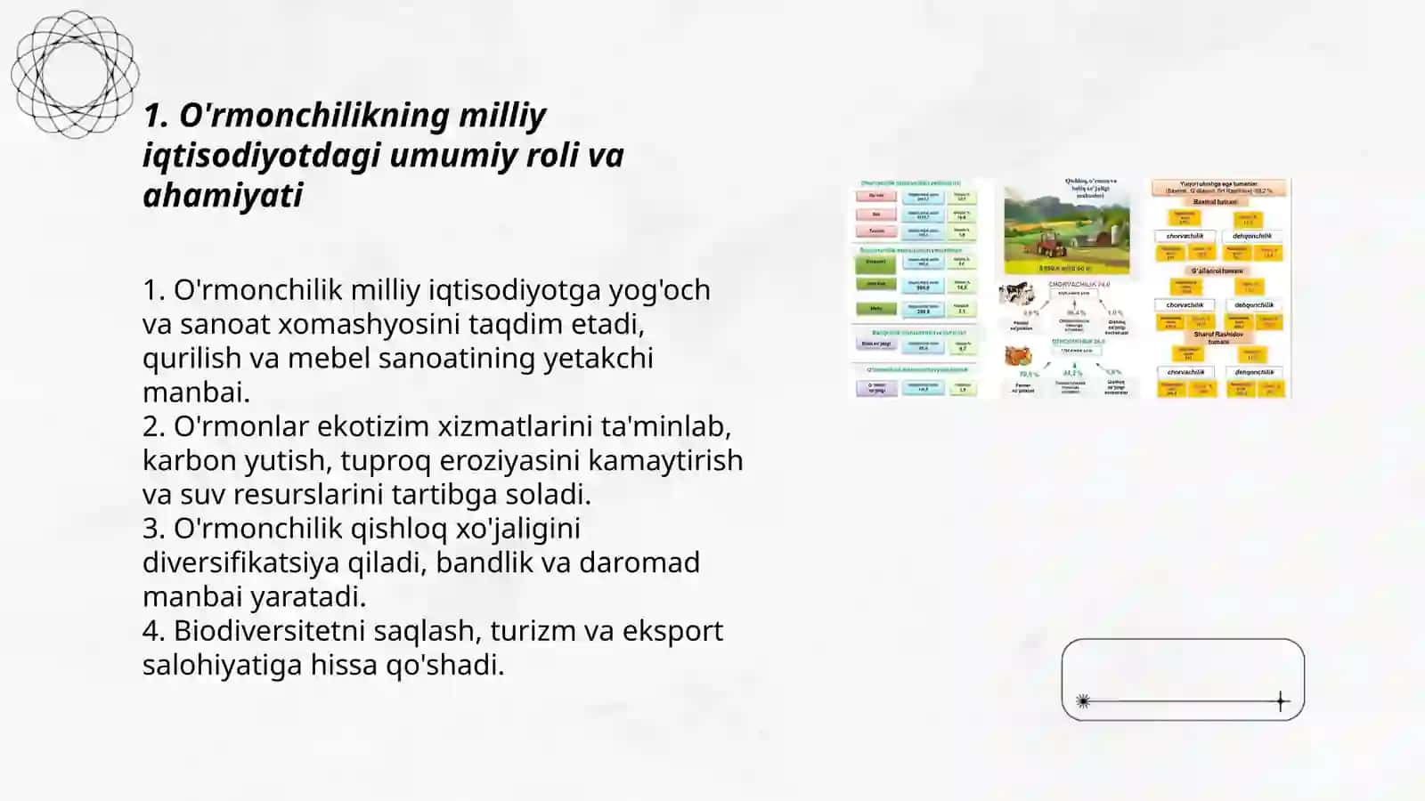 O'rmonchilik ishlab chiqarishni xalq xojaligidagi ahamiyati 3