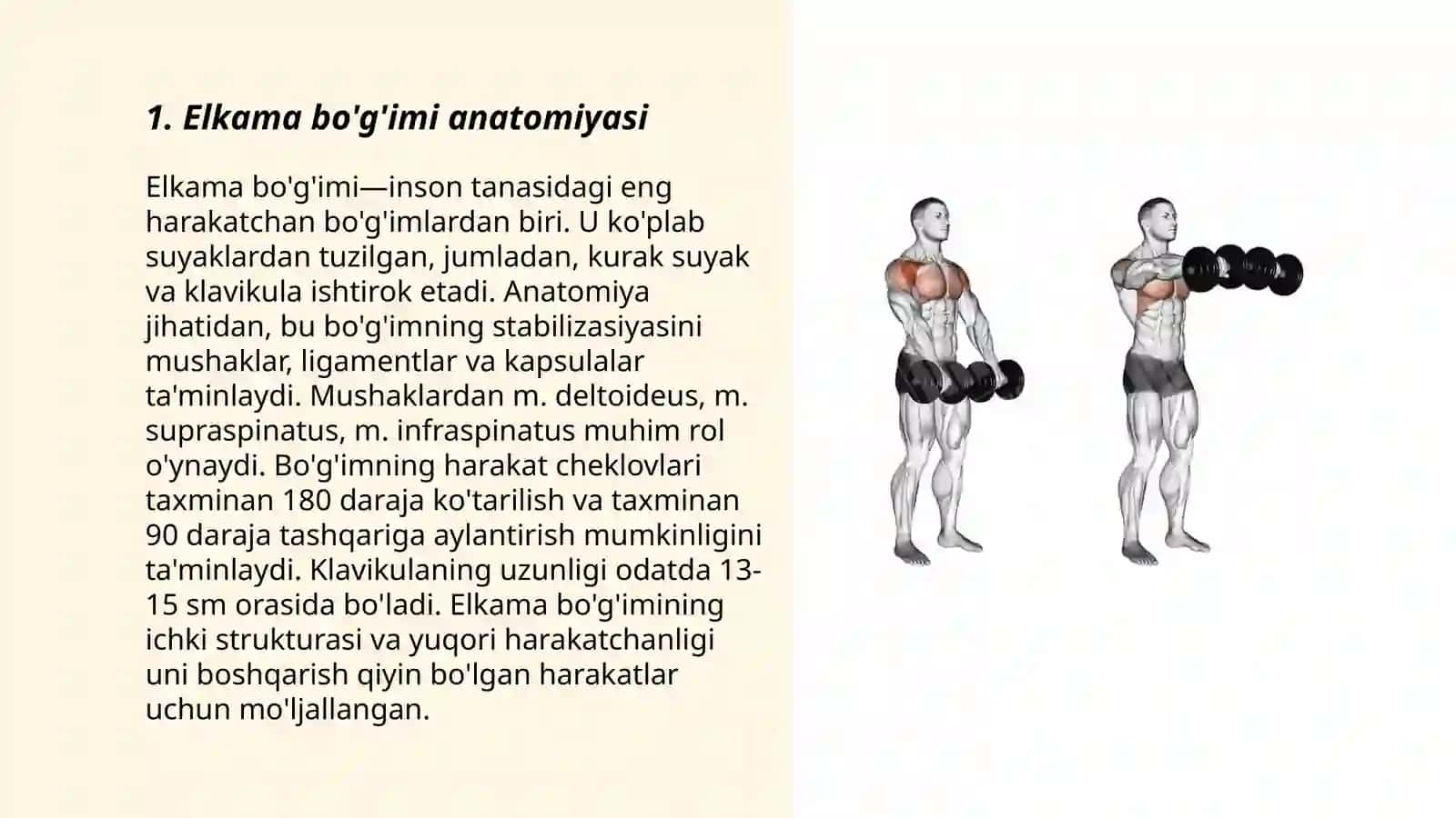 Elkama bo'g'imlarining biomexanikasi 3