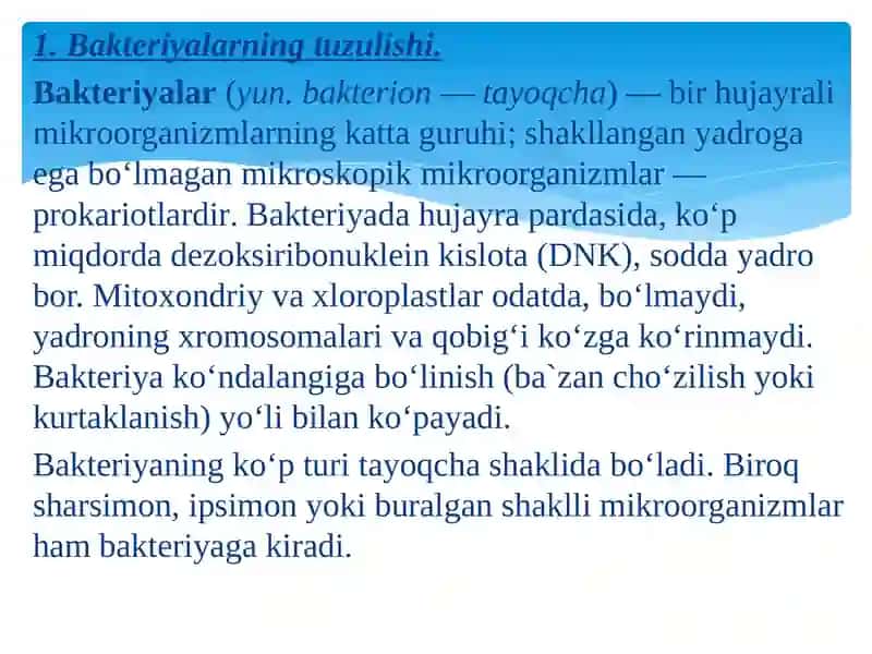 Bakterial hujayraning kimyoviy tarkibi 3
