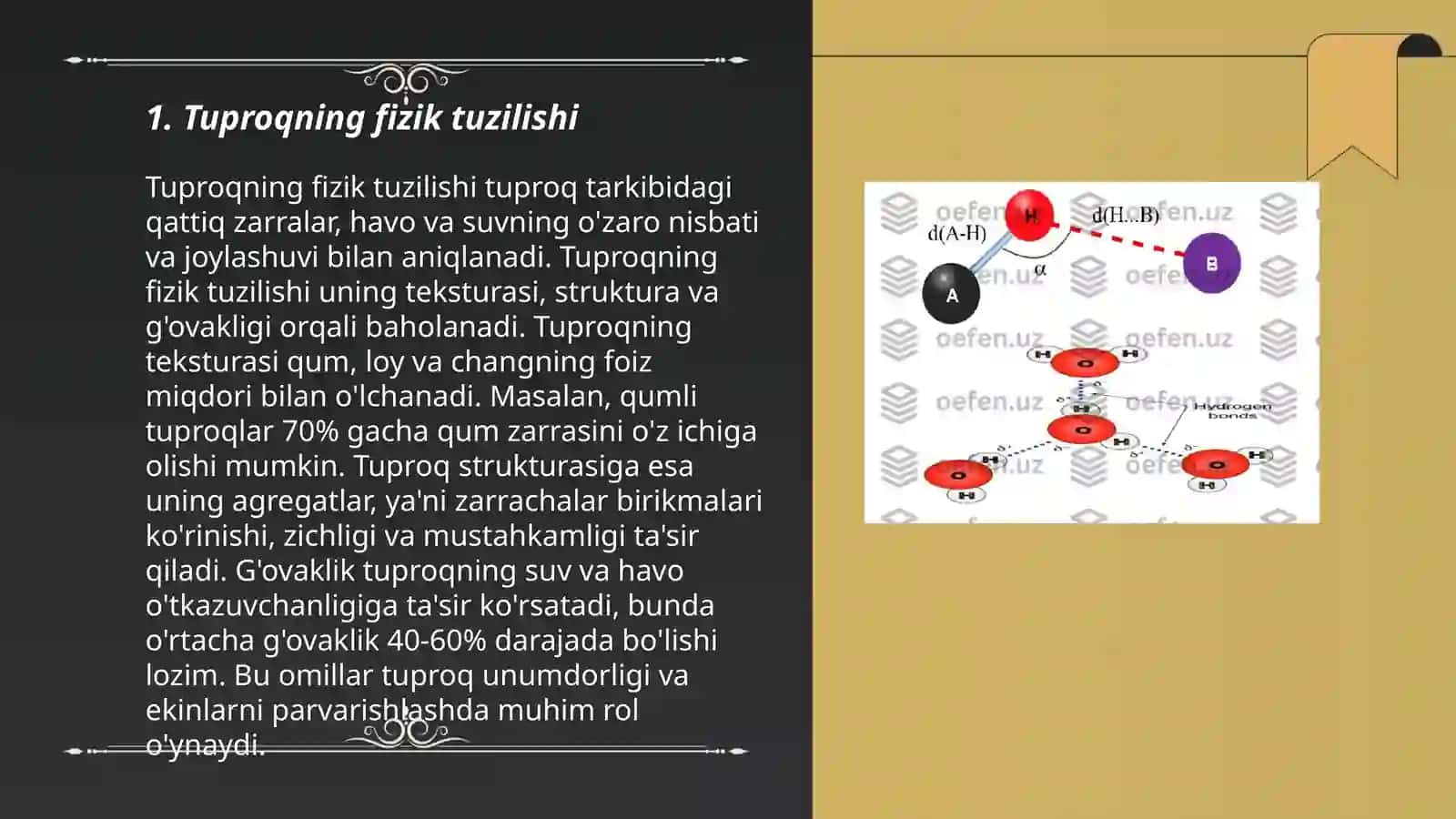 Tuproq morfologiyasi va sitiurukturiyasini o‘rganish 3