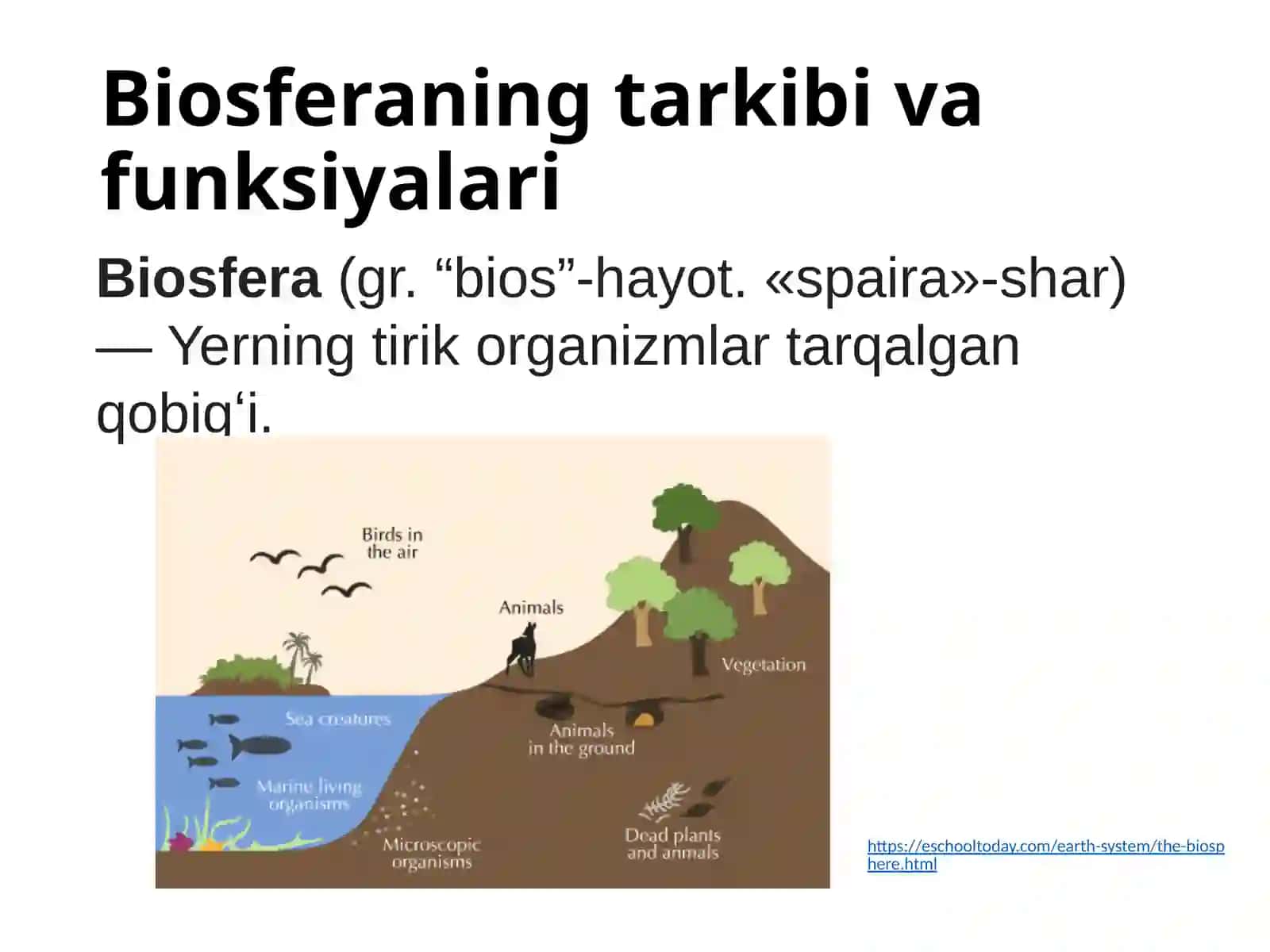 Biosferatuzilishivatarkibi.Biosferadamoddalarvaenergiyaningbiokimyoviyaylanmaharakati 3