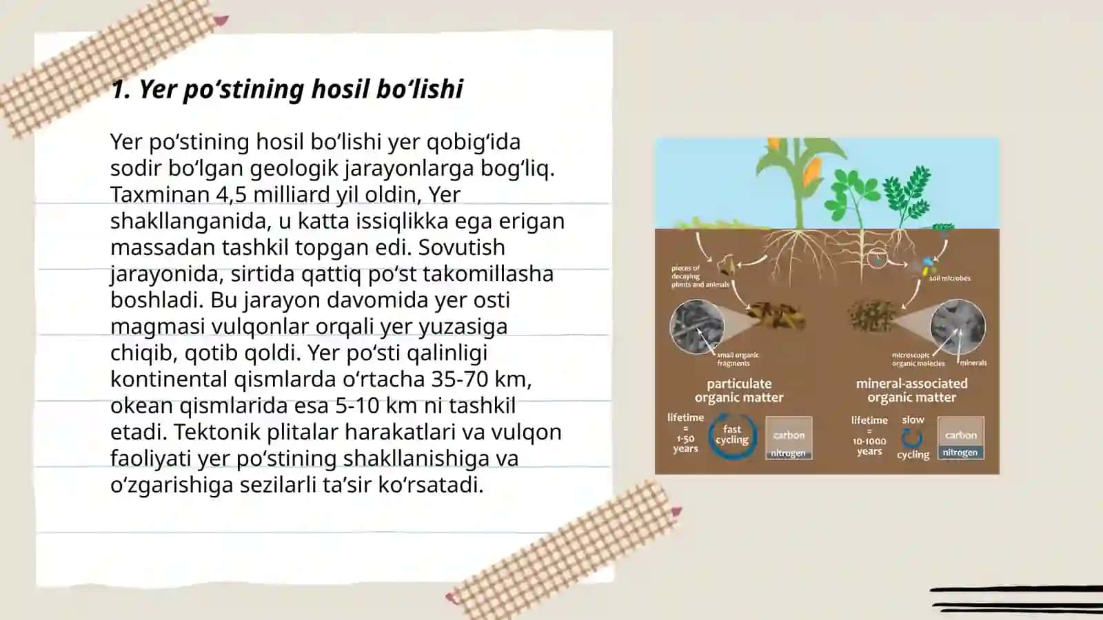 Tuproq hosil boʻlishning geologik omillari va tuproqning organik olami 3
