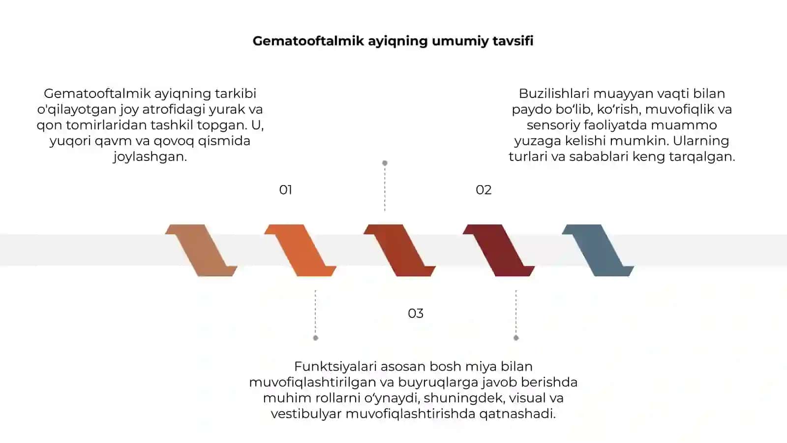 Gematooftalmik ayiqning tarkibi, funksiyalari,buzilishlari 3