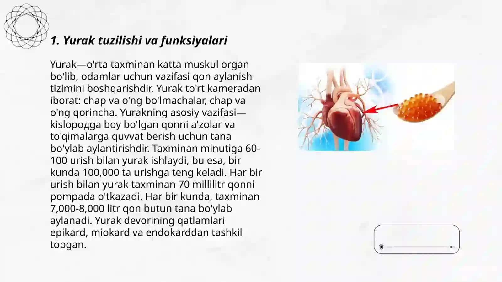 Yurakning avtomatiya xossasining yuzaga kelish omillari 3