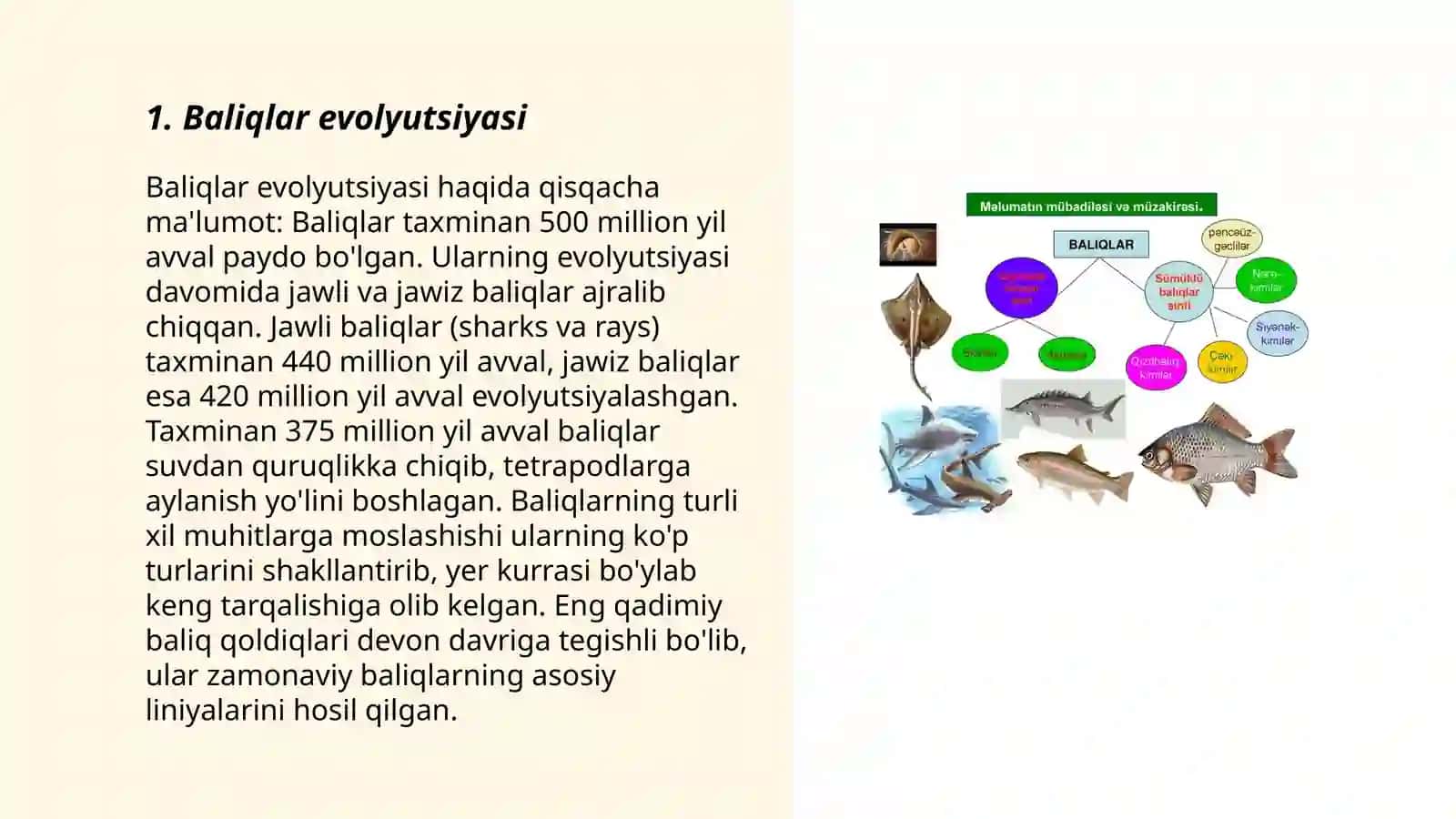 Tog'ayli va suyaklibaliqlarni sistematikasi 3