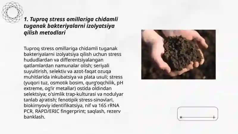 Tuproq stress omillariga chidamli tuganak bakteriyalar va azotobakteriyashtammlaridan biopreparatlar tayyorlash texnologiyasi 3