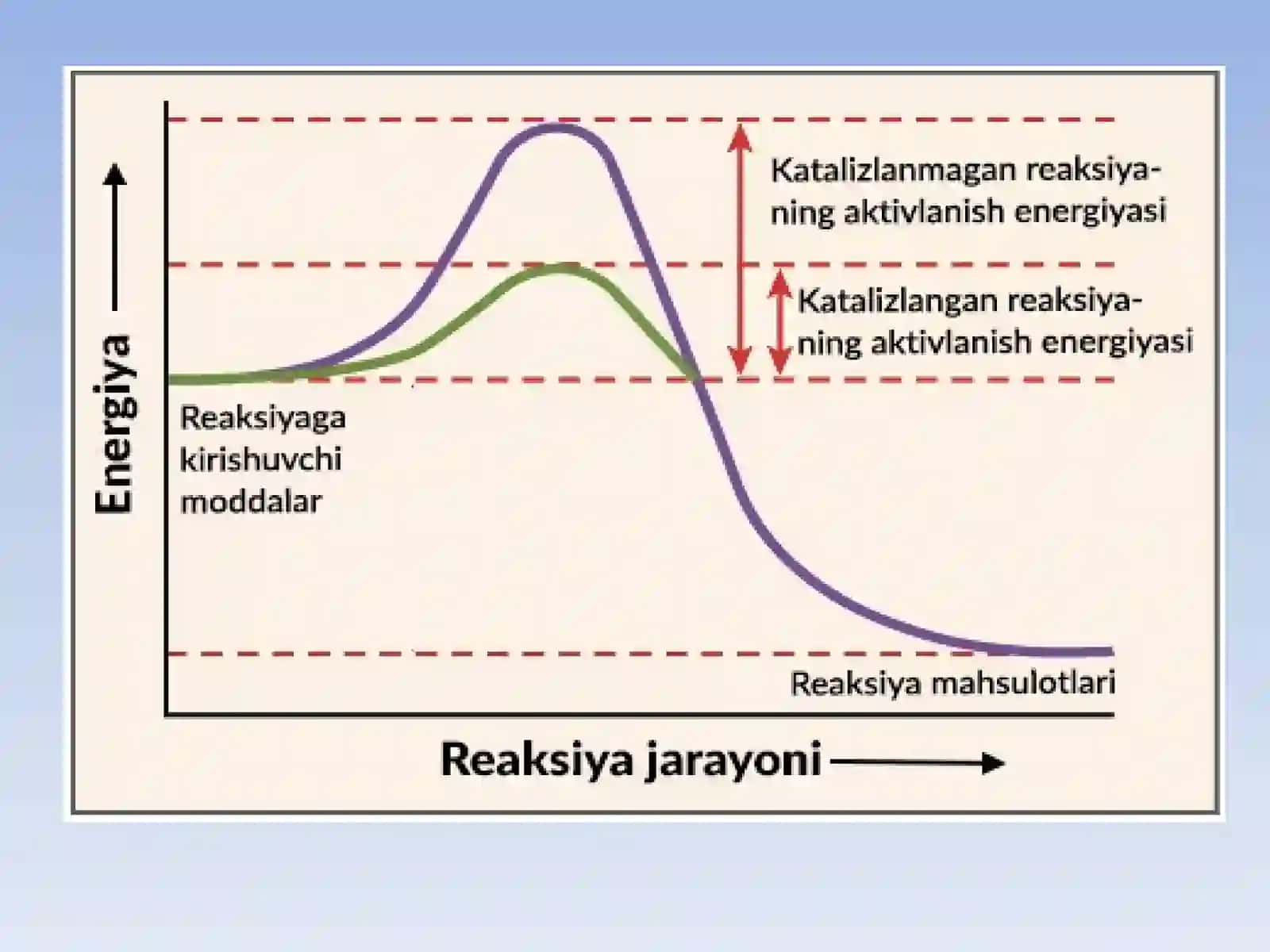 Fermentlar faolligiga haroratning ta’siri 3