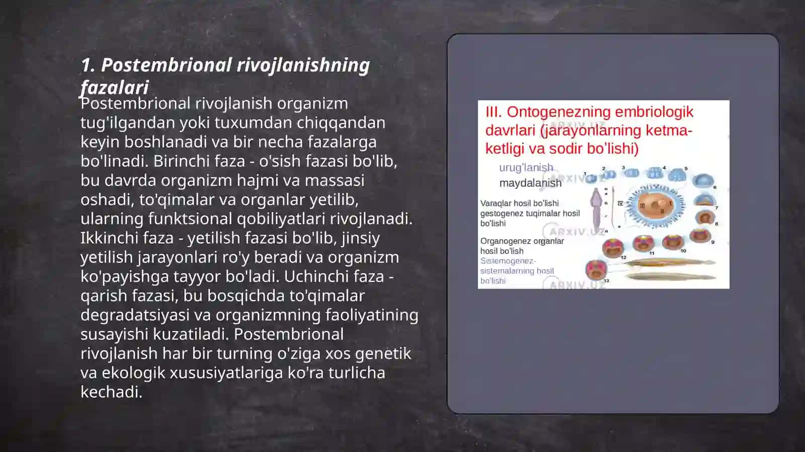Postembrional rivojlanishning umumiy qonuniyatlari 3