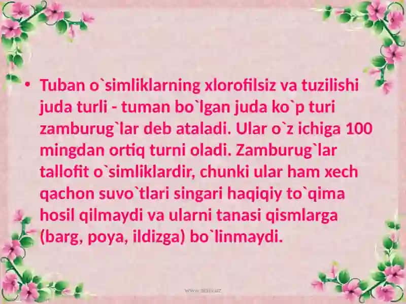 Biogeografiya fanidan tayyorlangan Mustaqil Ish 3