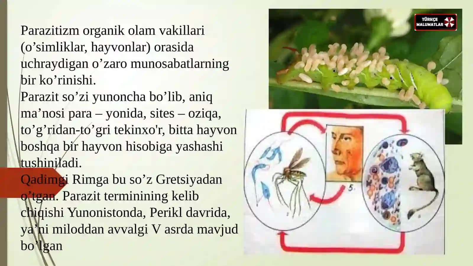 Parazitologiya fanining maqsadivavazifalari,boshqafanlarbilanaloqasi. “Umumiyparazitologiya”fani,uningbiologiyafanitizimidatutgano’rnivaboshqafanlarbilano’zarobog’liqligi,maqsadvavazifalari.Parazitizmvaparazitlarto’g’risidagitushunchalar 3