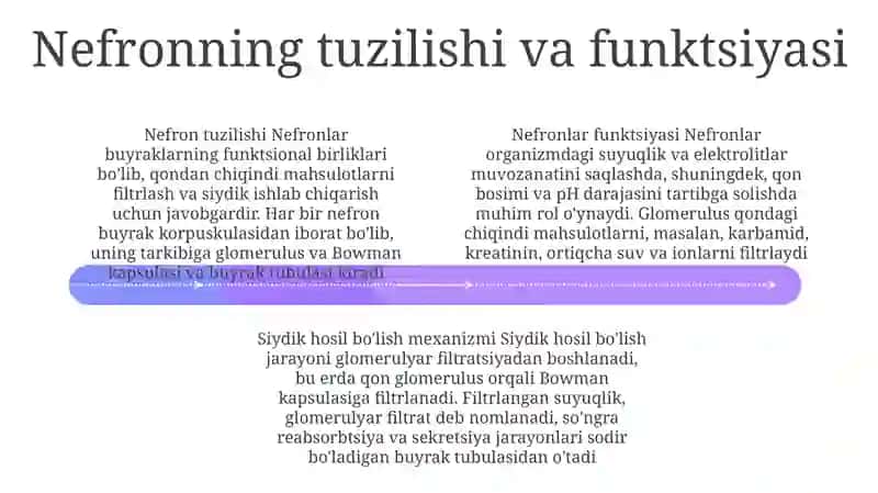 Siydik Hosil BoʻLish Mexanizmi 3
